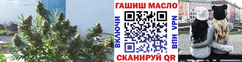 где купить   Сланцы  ТГК концентрат 
