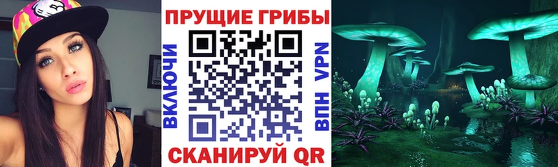 ссылка на мегу как войти  Сланцы  Псилоцибиновые грибы Psilocybine cubensis 